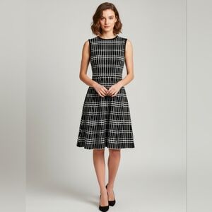 Zara Woman Dress Skater Structured Sleeveless Dress Size Small Black & White